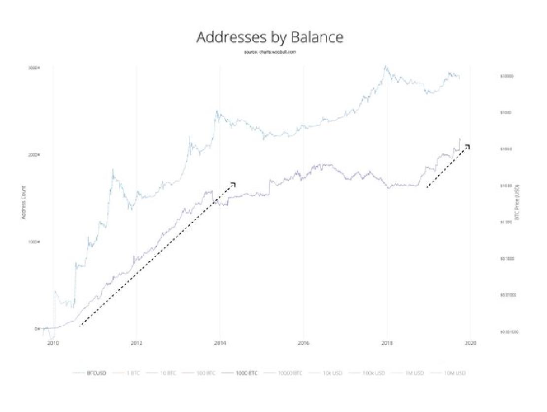 Willy Woo tweetje a bitcoin tárcák egyenlegének növekedéséről.